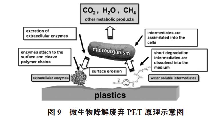 廢棄PET塑料包裝瓶的處理及再生資源化技術(shù)研究進展